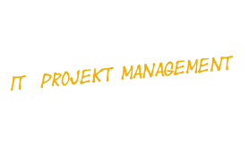 IT  Projekt management Projekt management cost management  Business Case 	problem analysis Pilot quality protection